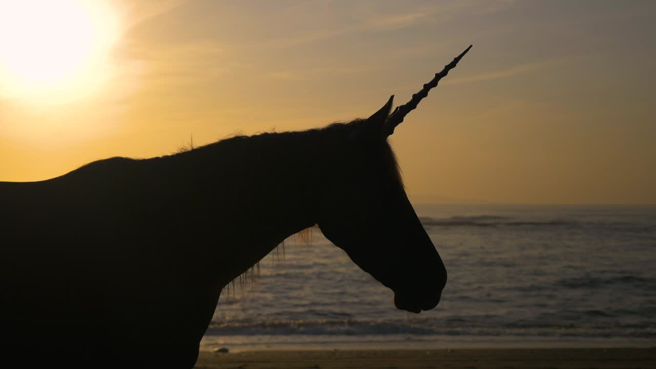 silueta del mítico caballo unicornio en la playa durante el amanecer, cámara lenta