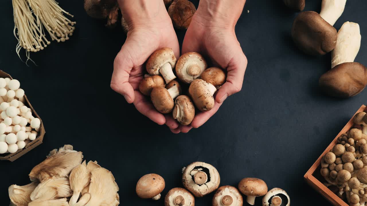 Assortment of Fresh Mushrooms
