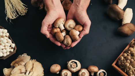 assortment of fresh mushrooms
