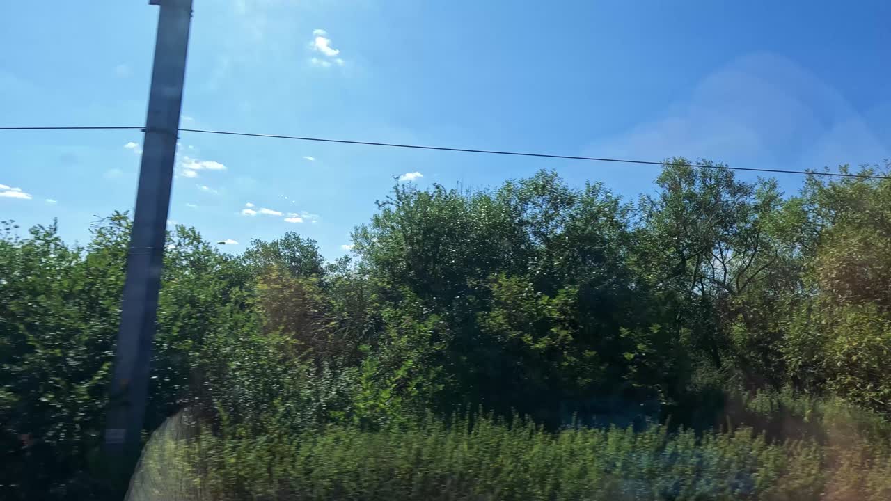 울창한 과 열린 하늘을 가로질러 열차를 타고