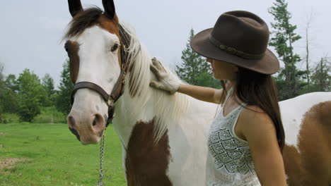 trained young cowgirl lightly grooms her pinto horse's mane