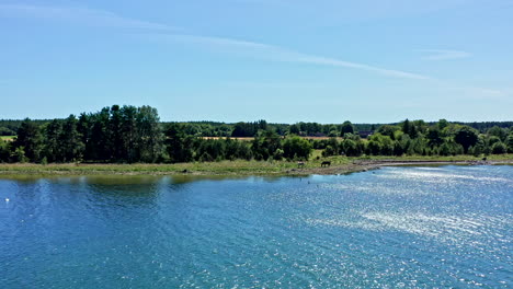 Umzug-Von-Der-Küste,-Wo-Pferde-Grasen