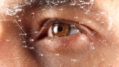 animación de ojo marrón caucásico sobre red de conexiones con números blancos