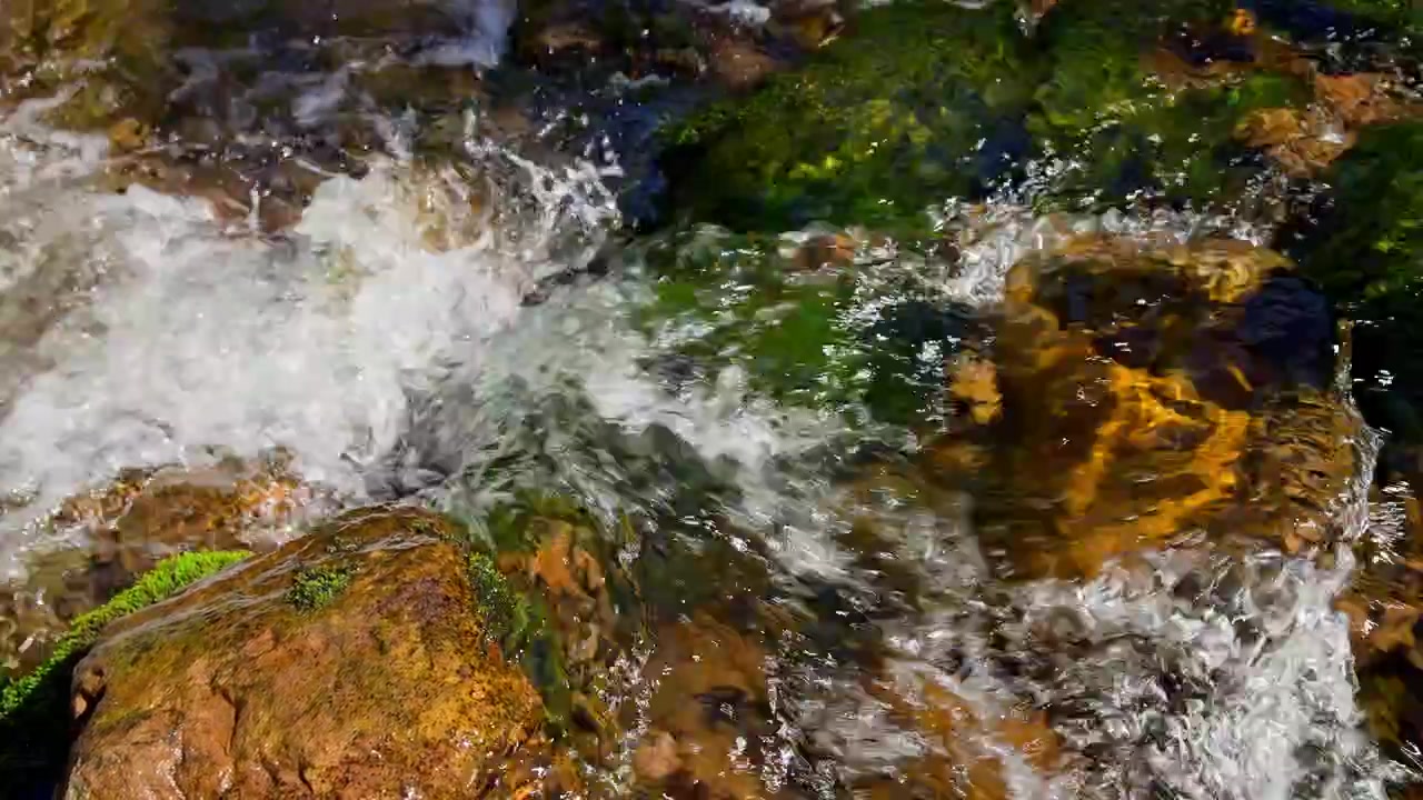 Acqua limpida che scorre su rocce muschiose in un ruscello naturale
