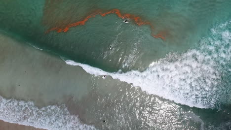 Surfer,-Die-Meereswellen-Reiten,-Die-Am-Shirahama-Strand-In-Japan-Rollen