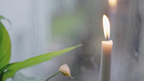 lit candle and a peace lily by a window on a rainy day