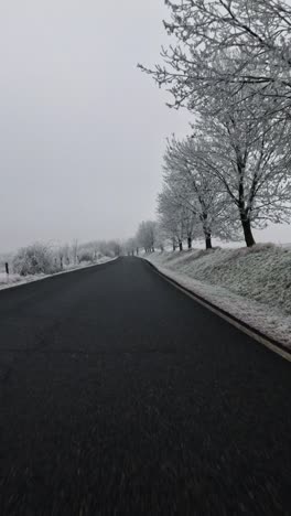 pov from a car riding the open road with trees in snowy winter, overcast