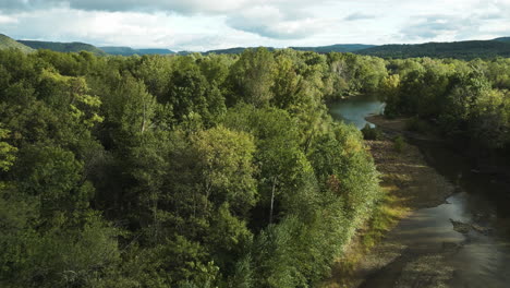 Exuberantes-Plantas-Verdes-Que-Crecen-En-Un-Denso-Río-Forestal-En-Durham,-Arkansas,-Estados-Unidos.