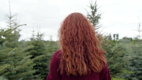 mujer de pelo rojo caminando en los bosques de otoño