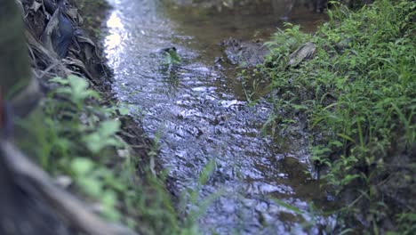 Aufnahme-Eines-Kleinen-Wasserstrahls,-Der-In-Einem-Bauernhof-Fließt