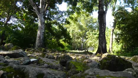 el camino pavimentado del arco en san gervasio, sitio arqueológico maya, cozumel, méxico