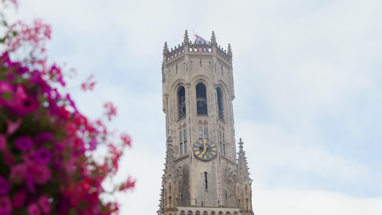 Gothic belfry tower rises above city, vibrant flowers foreground, daylight, static camera, soft lighting