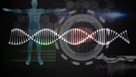 데이터 처리와 디지털 인간에 대한 dna 가닥의 애니메이션