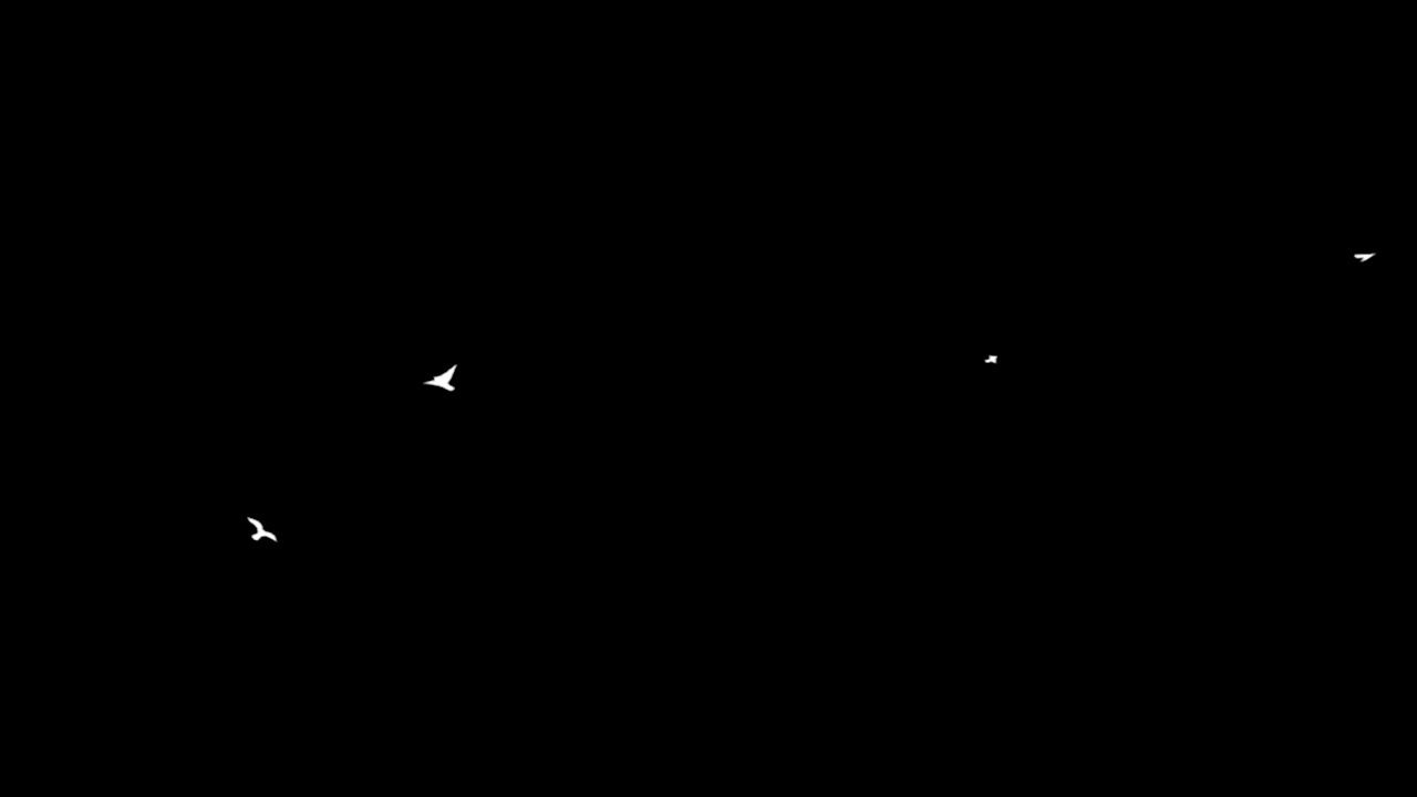 검은 바탕에 새 무리가 있습니다.