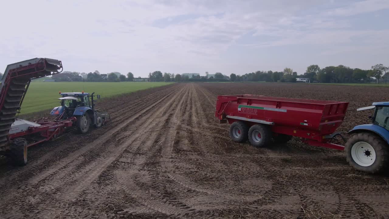 감자 작물 수확을 위해 줄을 서는 트랙터 줄을 서는 농부들