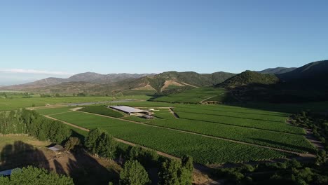 chilean vineyard and tranque aerial view footages