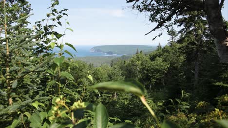 looking out at the cabot trail, nova scotia - 4k