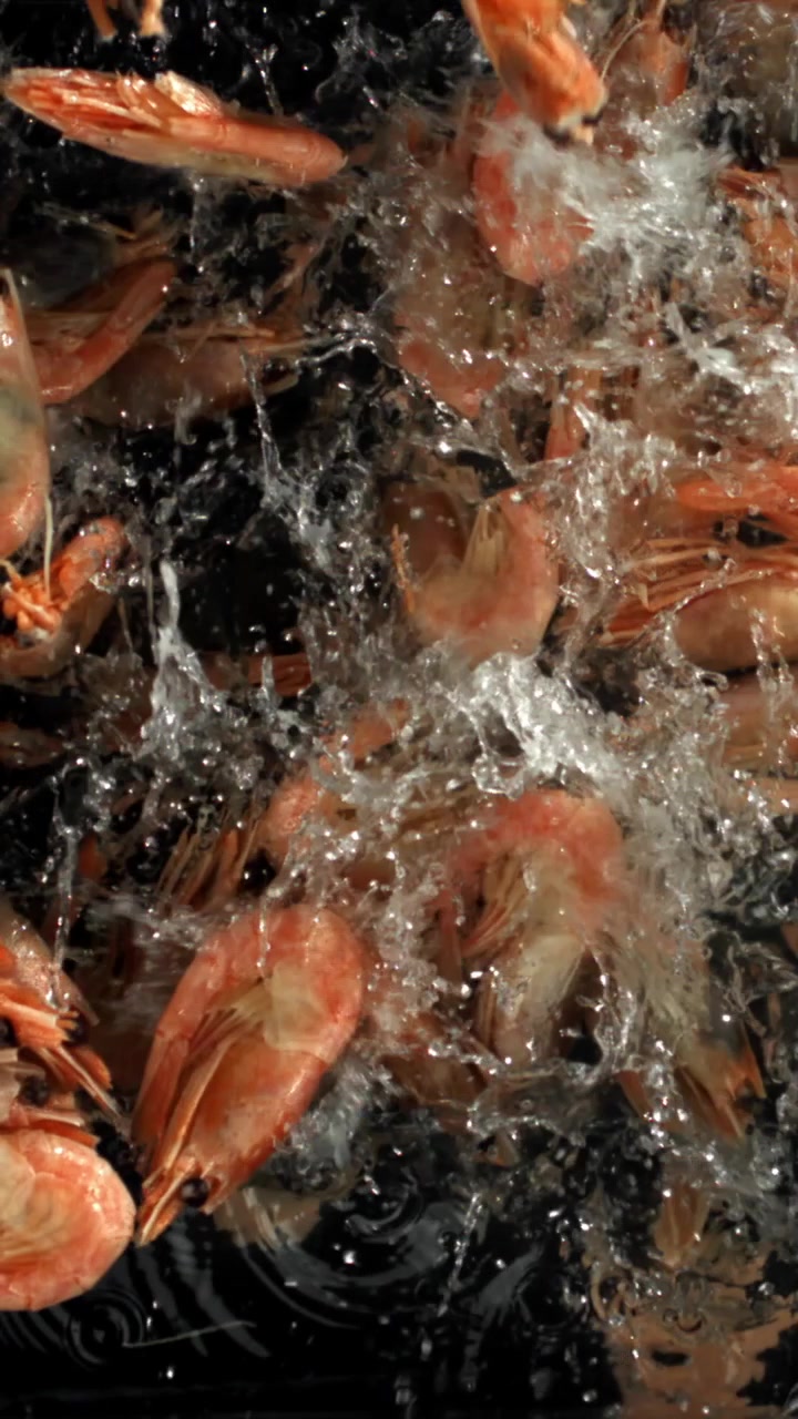 Slow Motion of Cooked Shrimp Splashing in Water on Black Background