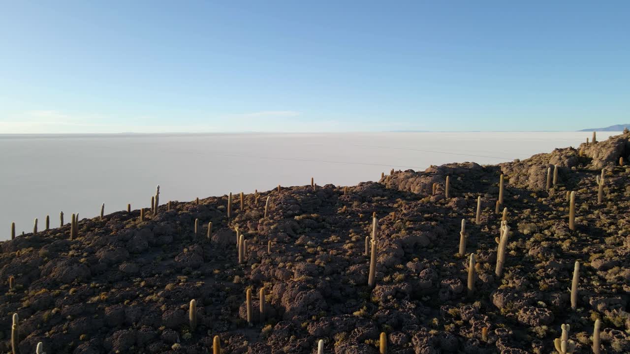 Isla Incahuasi cacti viewed from above as drone soars over the island surrounded by flat horizon