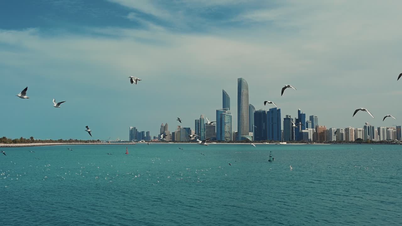 Migratory birds soar over the sea with the Abu Dhabi skyline as their backdrop in the United Arab Emirates