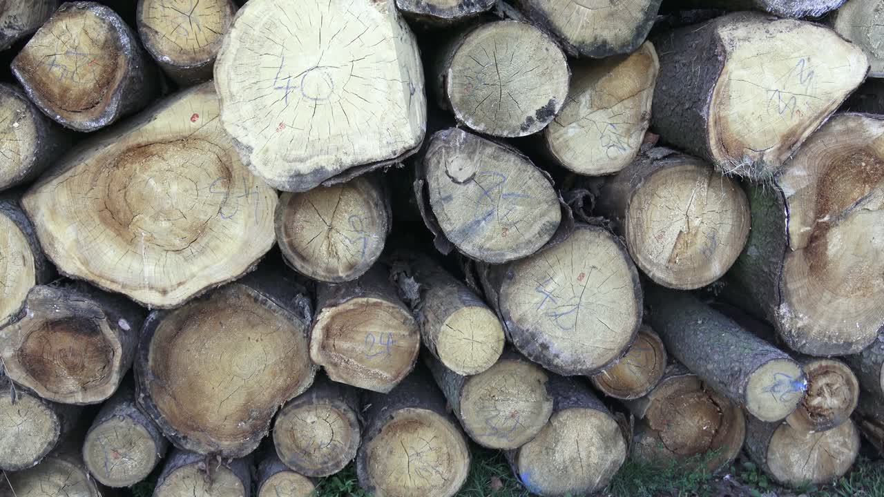 Stack of chopped firewood.  Freshly chopped tree logs stacked up on top of each other in a pile. Timber industry.