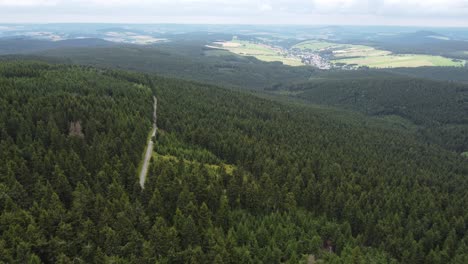 Vuelo-Sobre-Un-Gran-Bosque-De-Abetos-Saludable-Con-Luz-Del-Día