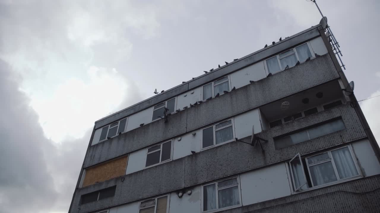 bloque de construcción arenoso con palomas