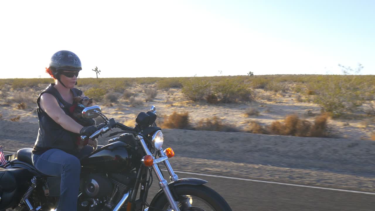 mujer motociclista con perro