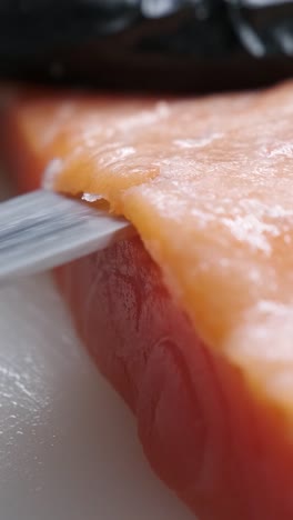 salmon fillet close-up