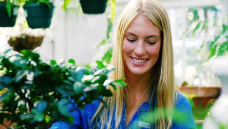 smiling woman examining a pot plant