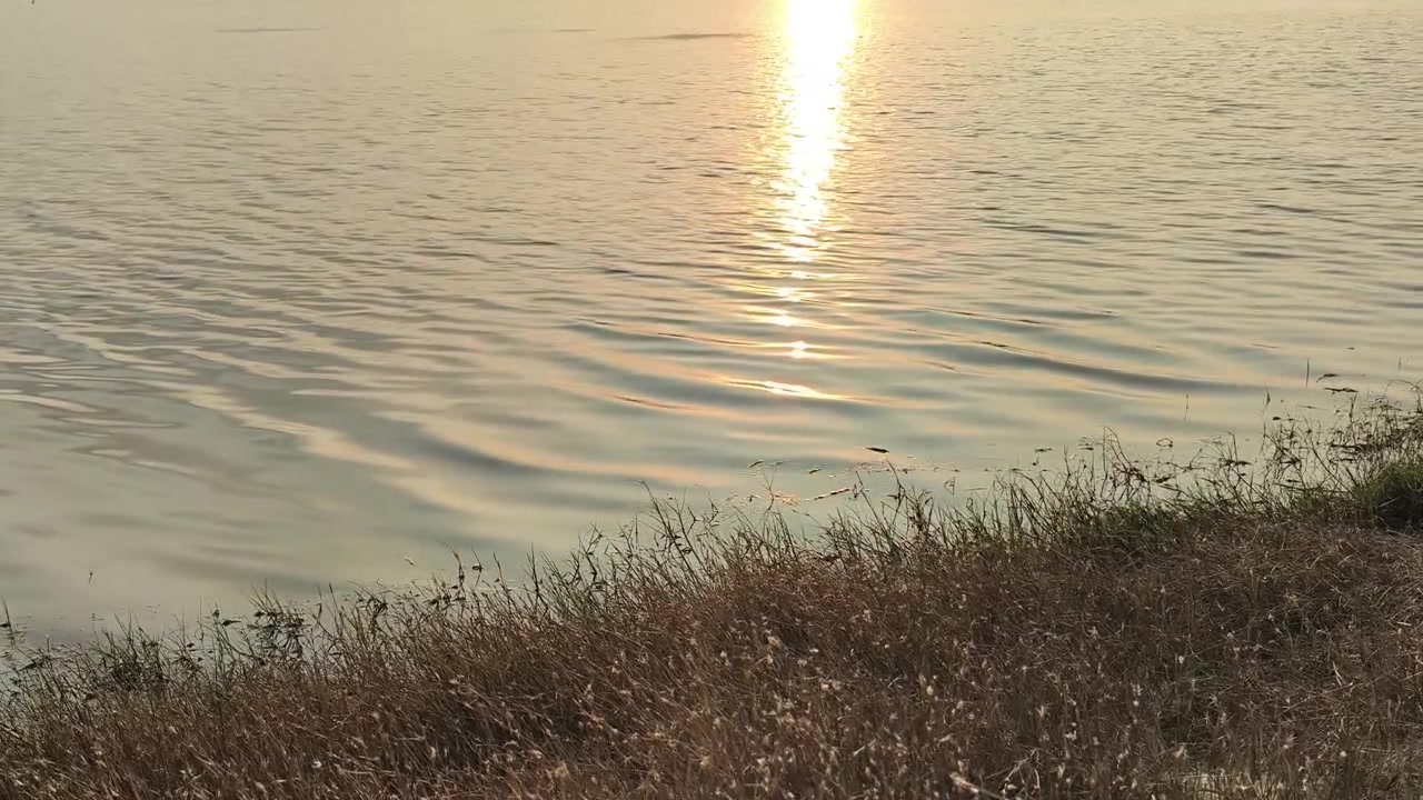 Riflesso dorato del tramonto sulle acque tranquille del lago