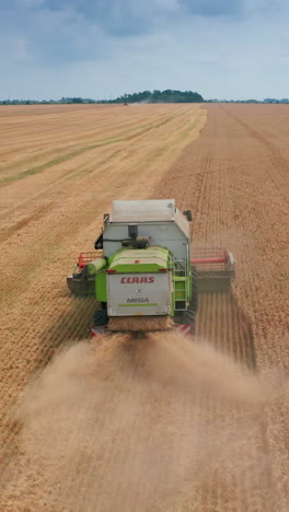 agricultural huge harvester working on the field. aerial view combine harvesting wheat field. vertical video