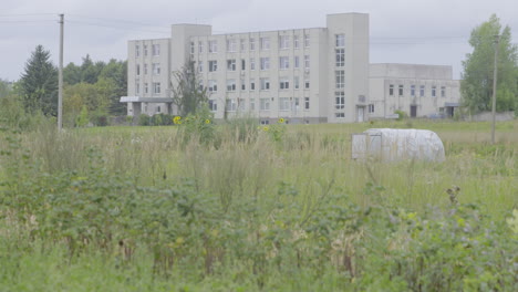 overgrown field with large building in the background