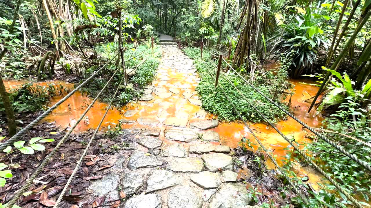 싱가포르 의 윈저 자연 공원 에 있는 하천 을 따라 돌로 된 산책로