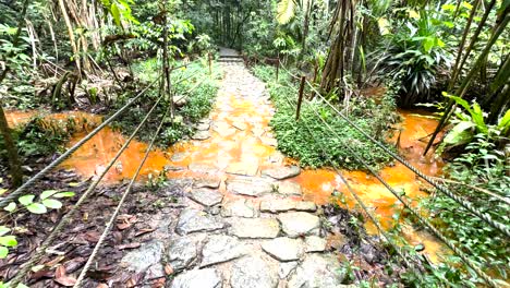 paseo de guijarros a lo largo del arroyo en el parque natural de windsor, singapur