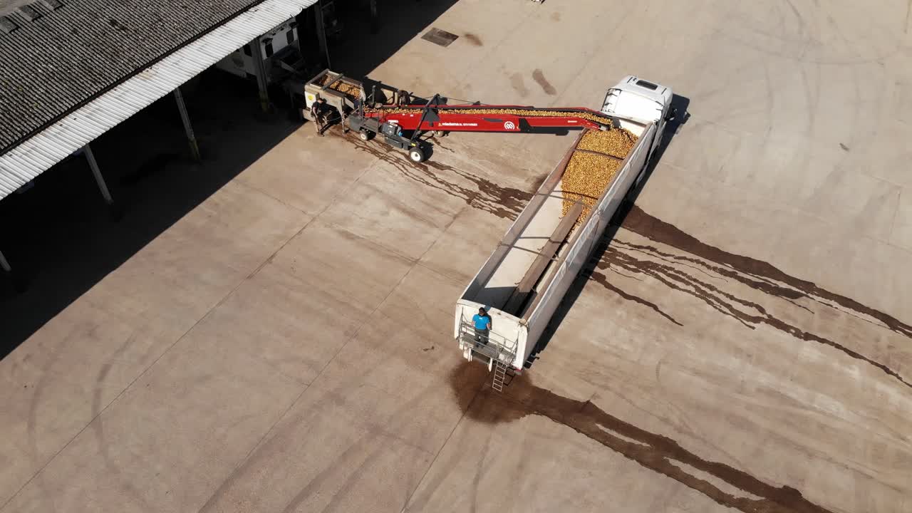 Aerial view of potato grader loading product into a trailer ready for delivery