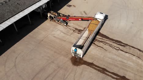 aerial view of potato grader loading product into a trailer ready for delivery