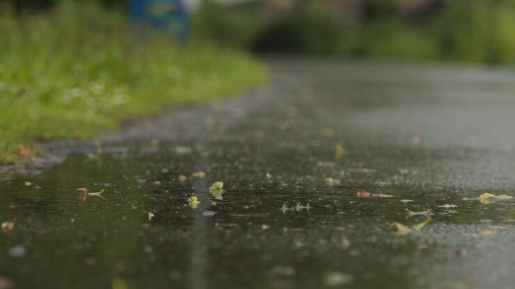 Primer plano de lluvia cayendo sobre un sendero que atraviesa un parque