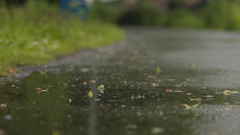 close up of rain falling on path running through park 1