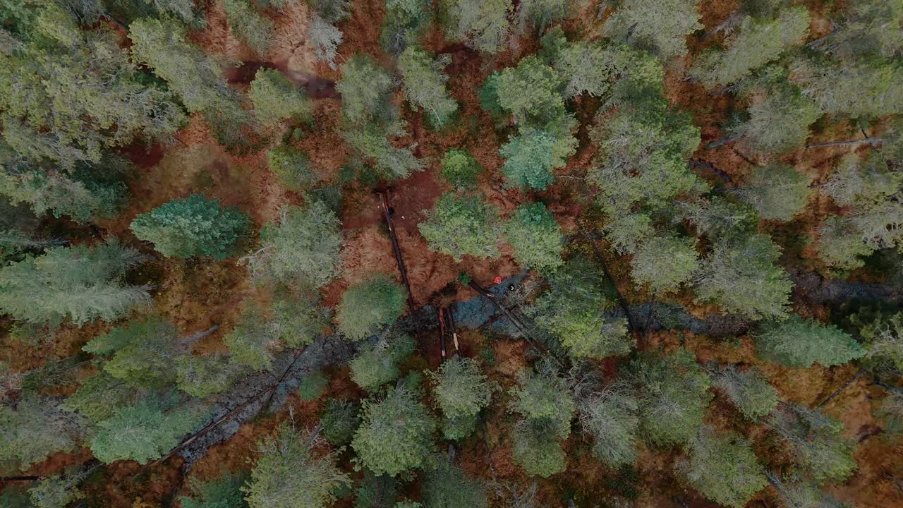 Spiraling downwards drone flight over green fir trees in an autumn mountain area in Switzerland