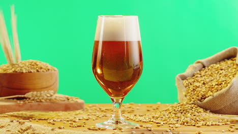 glass of beer with barley grains