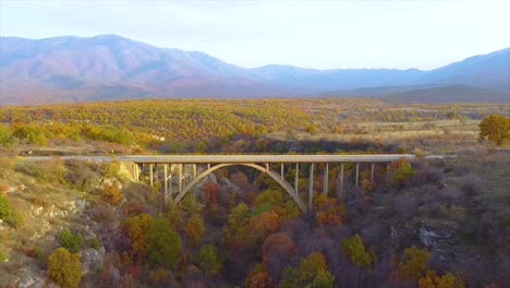 aerial view of a bridge above a colorful forest in autumn