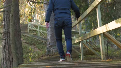 Vista-Trasera-De-Un-Hombre-Caucásico-Explorando-Bosques-Otoñales,-Subiendo-Por-La-Colina,-Escaleras-De-Camino-De-Madera,-Caminando-Solo-En-El-Bosque-De-Pinos-Costeros,-Día-Soleado,-Concepto-De-Actividad-Saludable,-Tiro-Medio-De-ángulo-Bajo