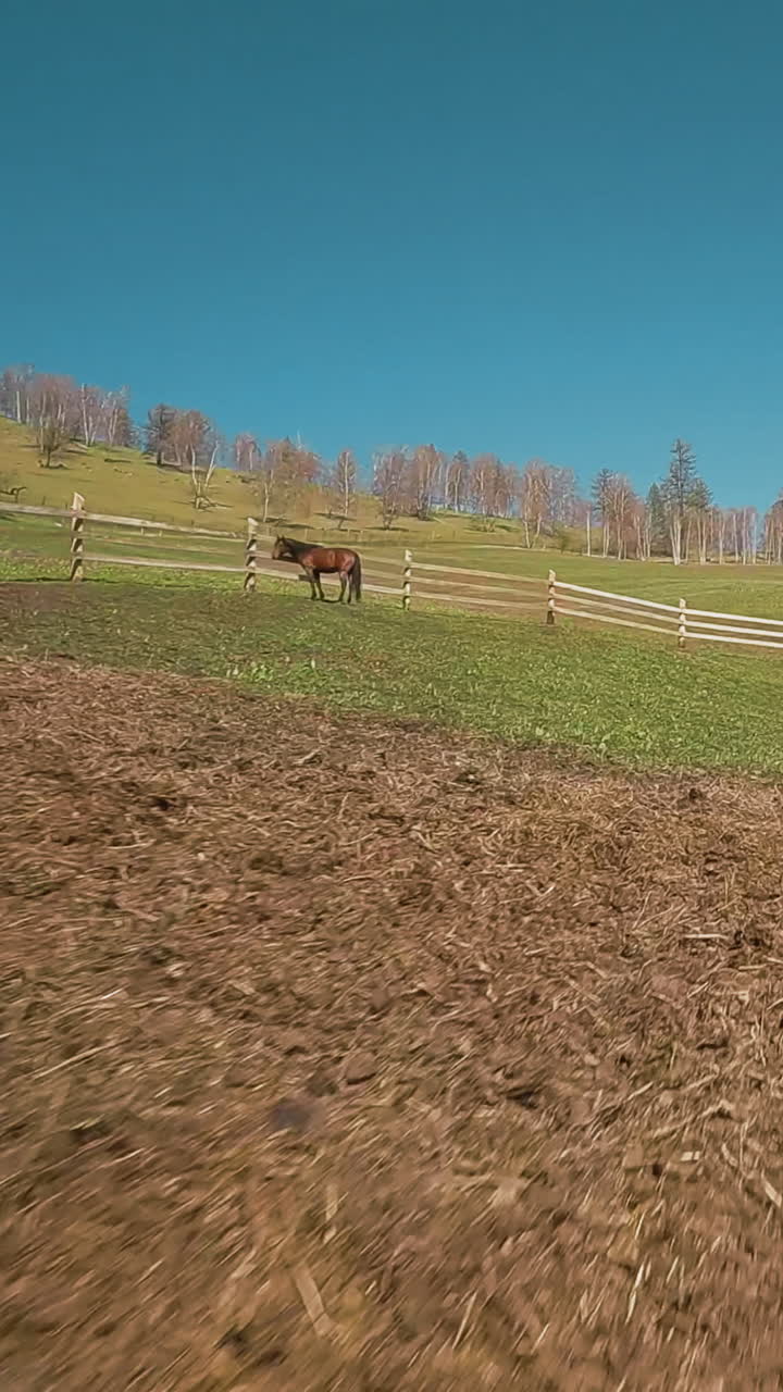 amplio recinto con valla de tabla y caballo de bahía solitario pastando en el suelo en el día de otoño primer punto de vista. animales equinos cuidado en el rancho en las tierras altas en cámara lenta