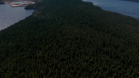 Drone-flying-over-a-forest-and-panning-revealing-the-summer-blue-sky-in-northern-Quebec