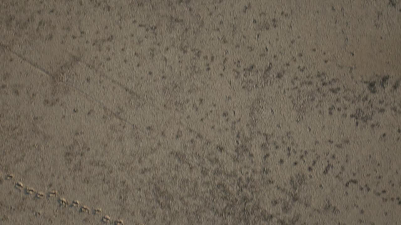 드론 촬영: 멕시코 북부의 사막에서 흔적과 모래를 위에서 내려다보는 모습