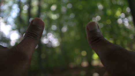 hands and thump's up nature blurry background