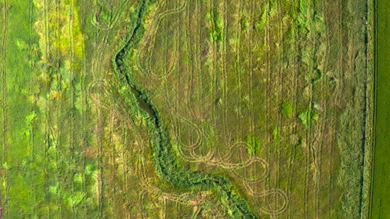 Drone bird's eye view above tractor tracks winding river cuts through field, vibrant agriculture