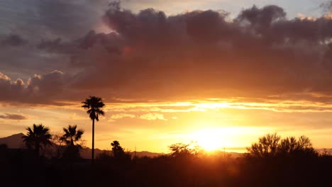 la colorida luz del atardecer se abre paso a través de las nubes de tormenta silueteando palmeras, arizona