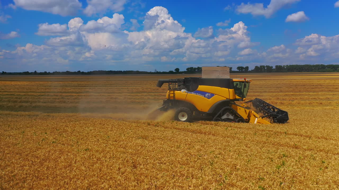 Yellow bulldozer harvesting in field. Aerial drone shot of yellow combine harvesting crop